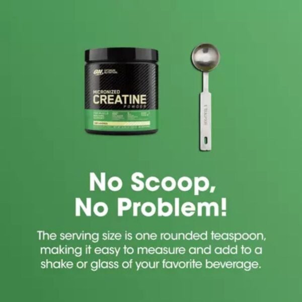 ON Creatine Monohydrate price in (bd) Bangladesh 