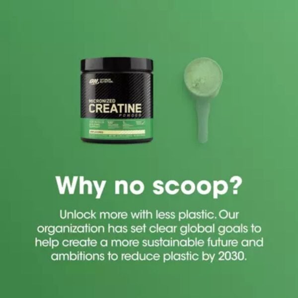 ON Creatine Monohydrate price in (bd) Bangladesh 
